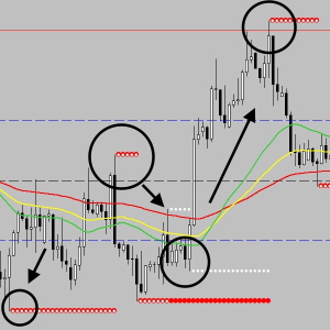De Forex Mr. Y 2024