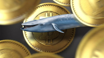 Биткоин кит