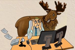 moose at the market