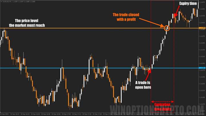 binary option transaction with level touch
