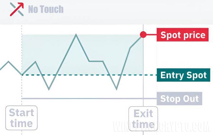 touch options in derivatives