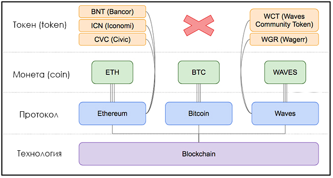 Examples of tokens and coins in cryptocurrency