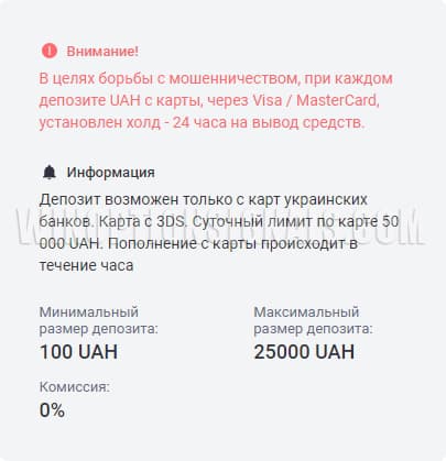 details when paying on exmo
