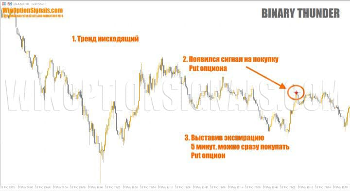 put option Binary Thunder