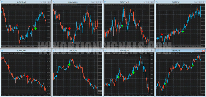 Binary Reaper indicator on several pairs
