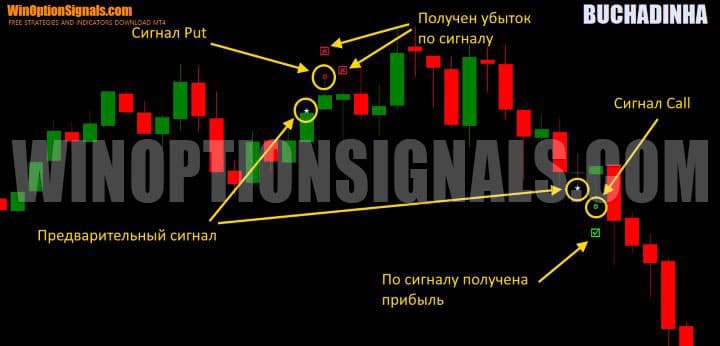 signals in BUCHADINHA