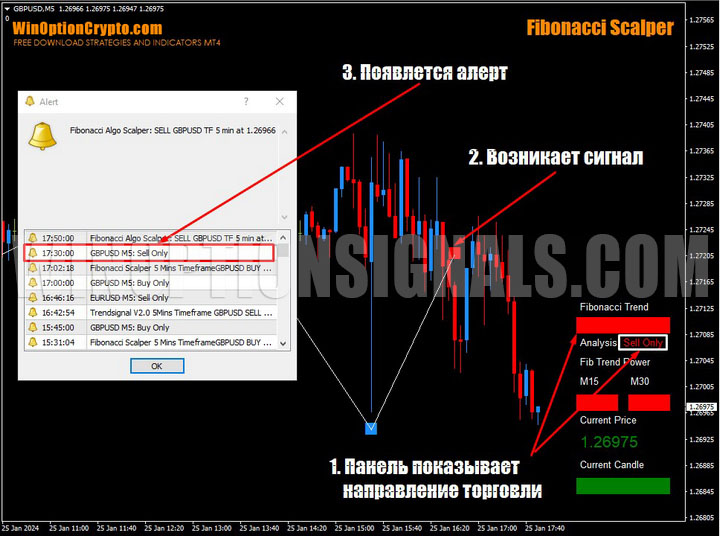 signal to buy a call option in fibonacci scalper