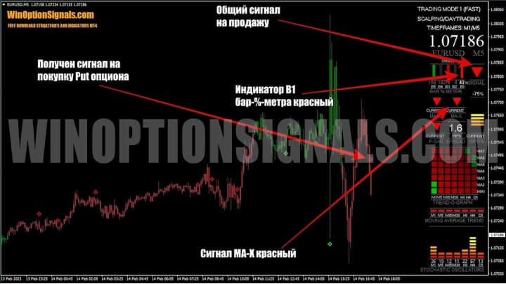 Buying a Put Option in Luna FX