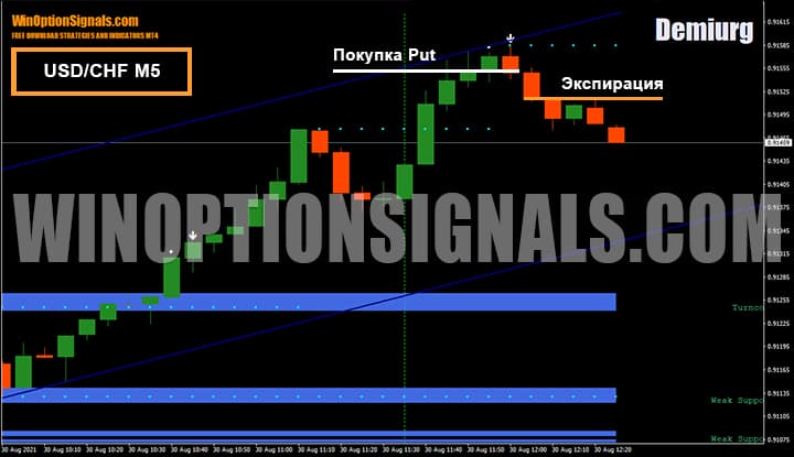 Buying a Put option on the USD/CHF currency pair
