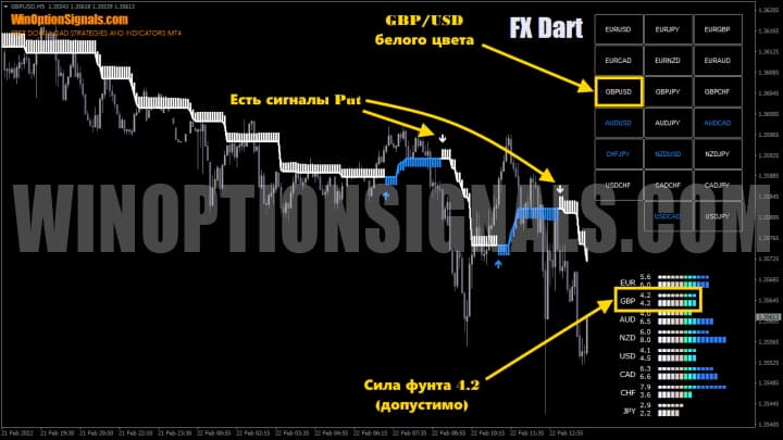 buying a put option