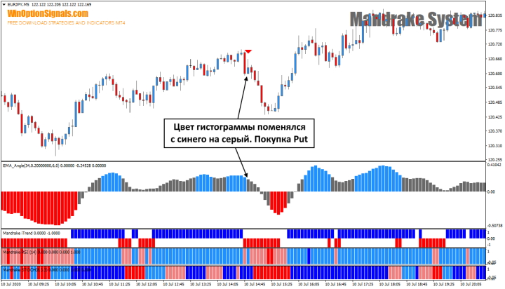 Buying Put using the Mandrake System strategy