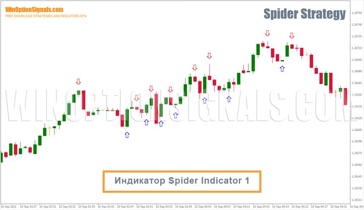 indicator for binary options Spider Indicator 1