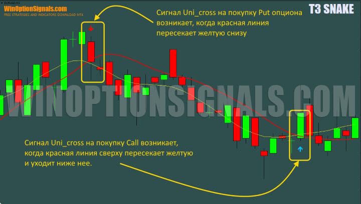 signals in t3 snake