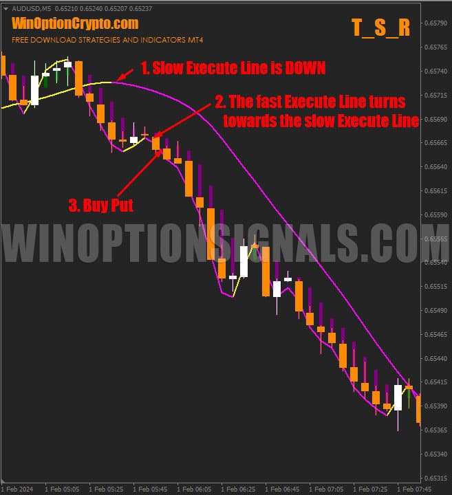 signal to buy a put option in T_S_R